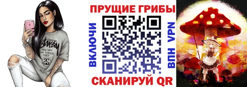 Галлюциногенные грибы прущие грибы  даркнет сайт  Чистополь 